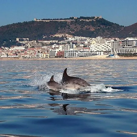 Lovely With Swimming Pool And Parking Sesimbra